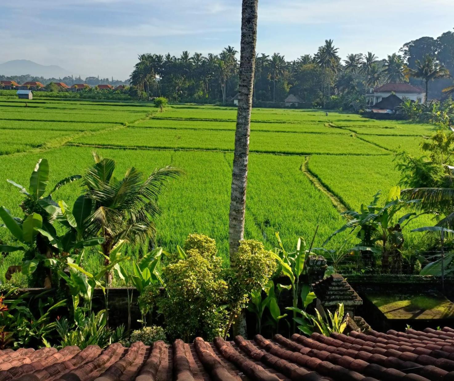 Runa House Of Design Ubud Extérieur photo